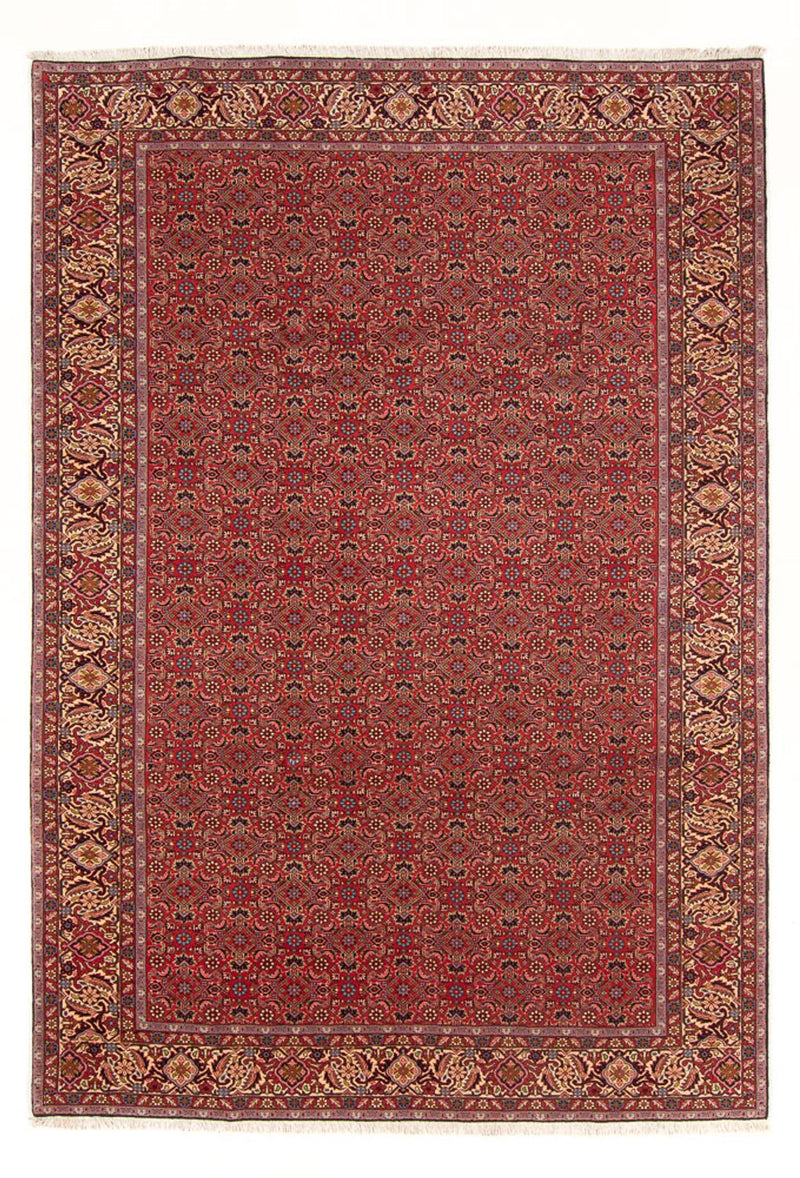 Tapis persan - Bidjar - 296 x 197 cm - rouge