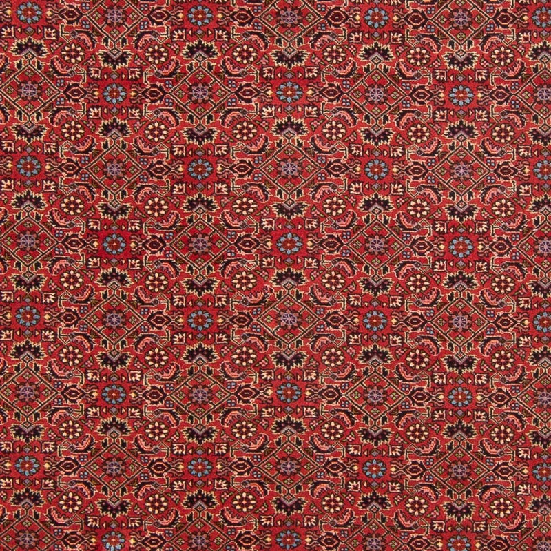 Tapis persan - Bidjar - 296 x 197 cm - rouge