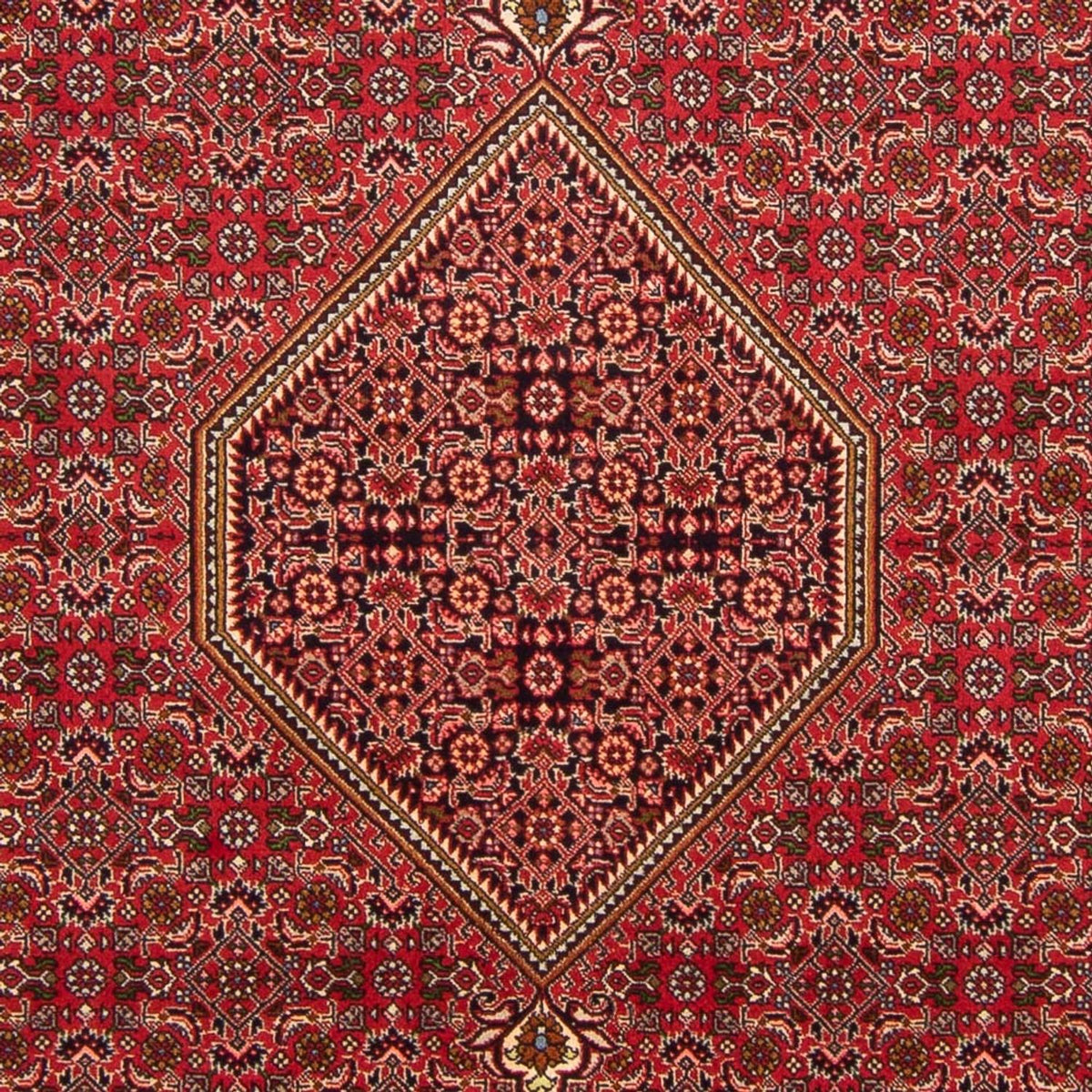 Tapis persan - Bidjar - 290 x 192 cm - rouge