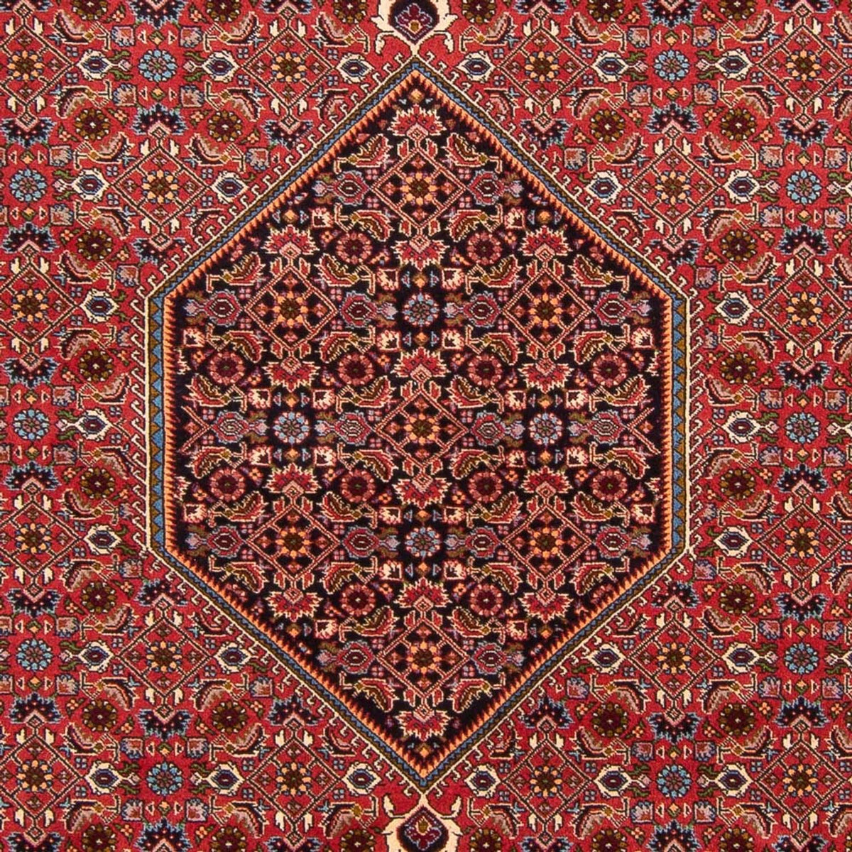 Tapis persan - Bidjar - 301 x 200 cm - rouge
