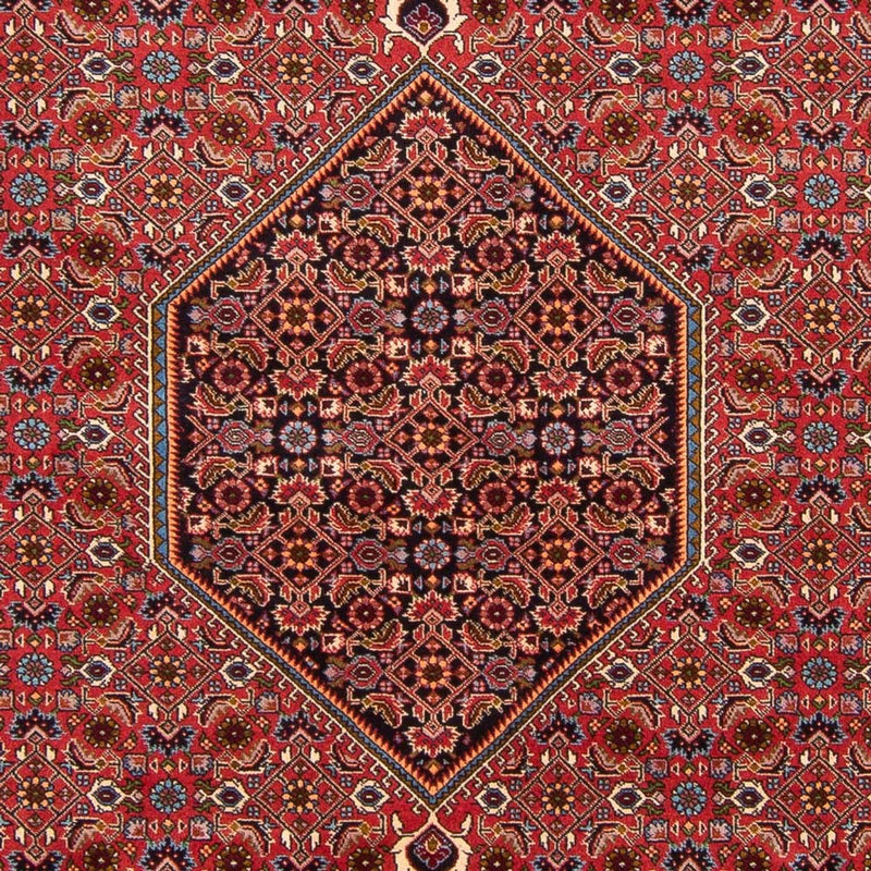 Tapis persan - Bidjar - 301 x 200 cm - rouge