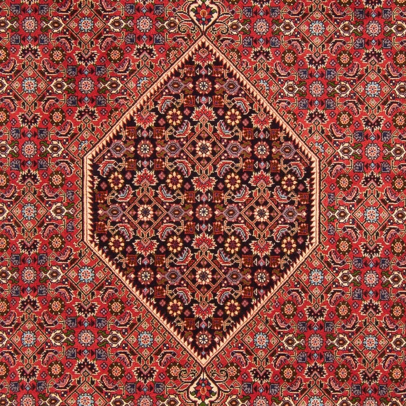 Tapis persan - Bidjar - 300 x 200 cm - rouge