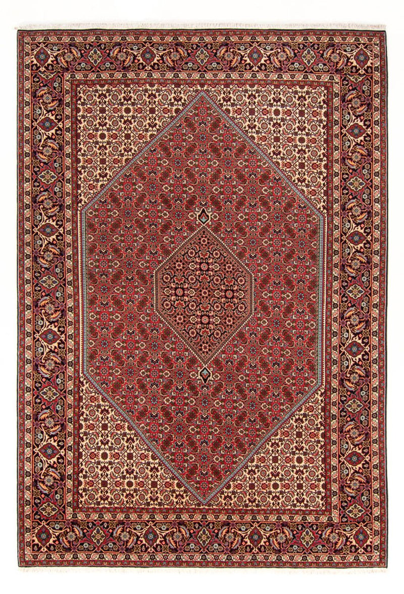 Tapis persan - Bidjar - 293 x 200 cm - rouge