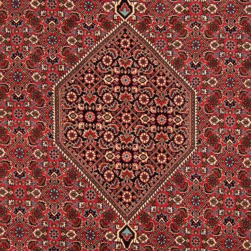 Tapis persan - Bidjar - 293 x 200 cm - rouge