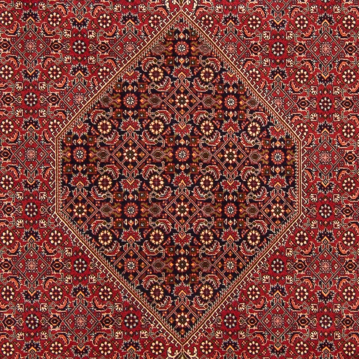 Tapis persan - Bidjar - 300 x 201 cm - rouge