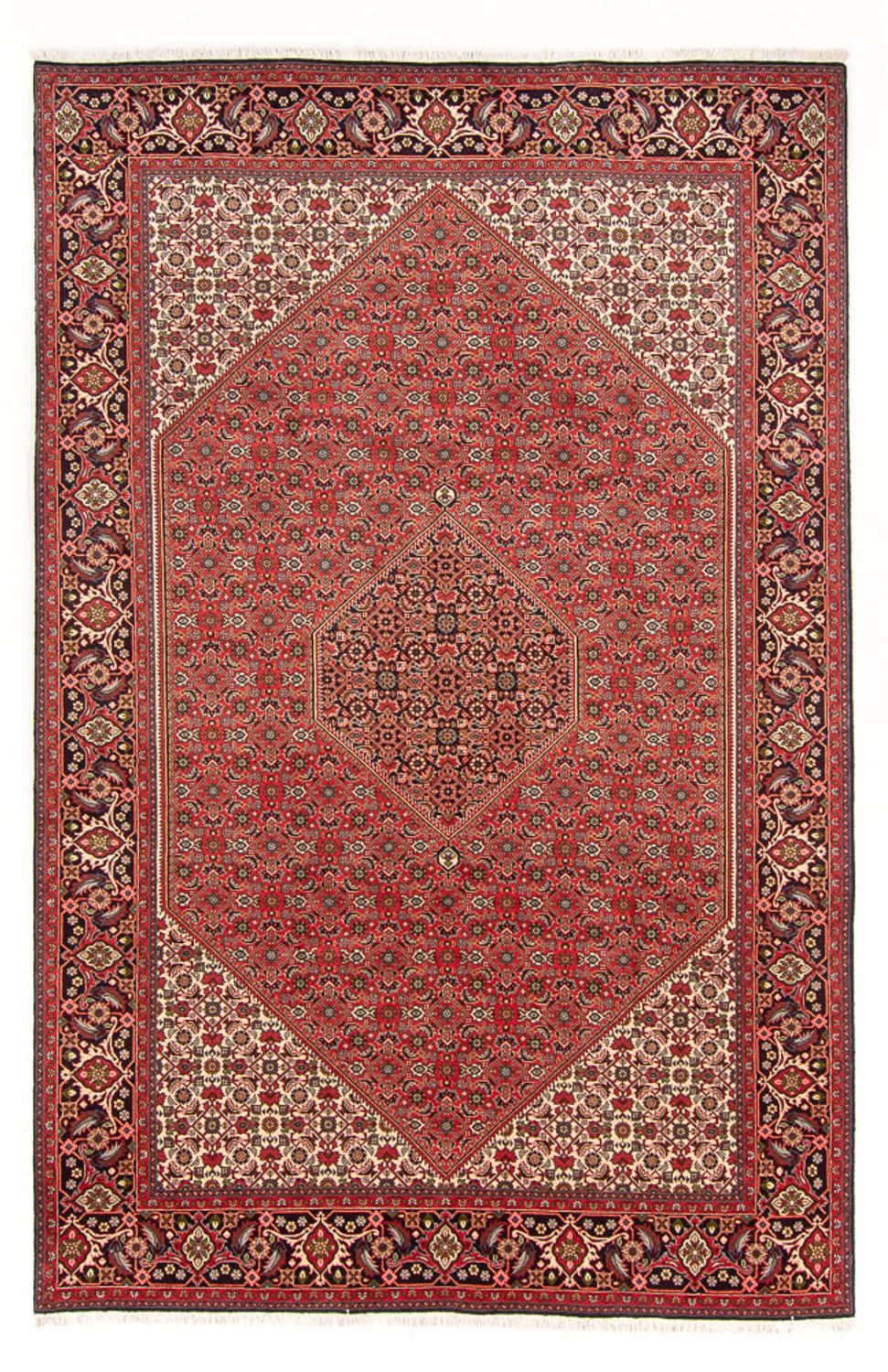 Tapis persan - Bidjar - 298 x 197 cm - rouge