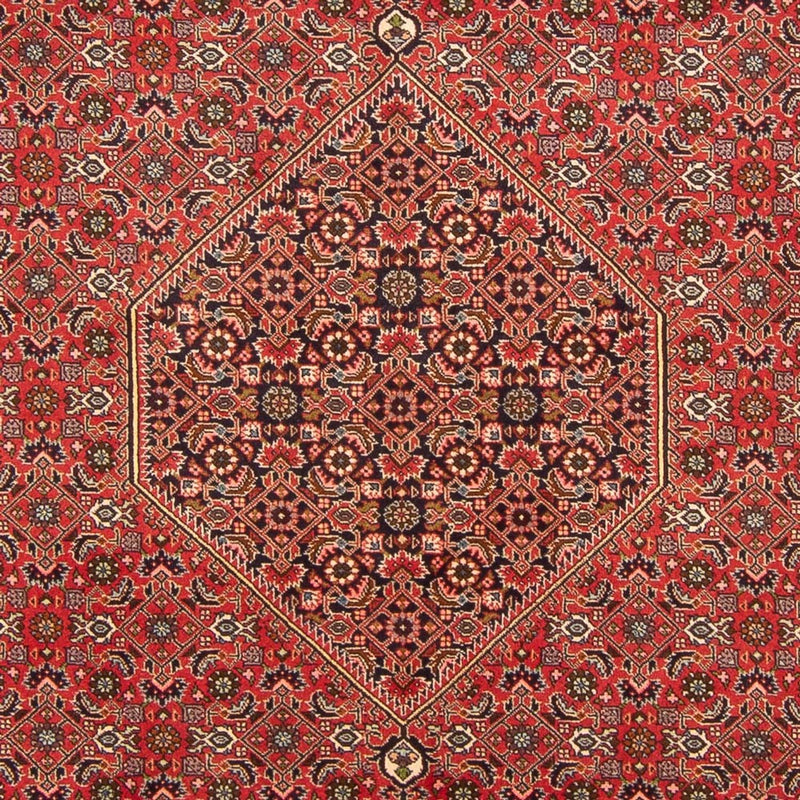 Tapis persan - Bidjar - 298 x 197 cm - rouge