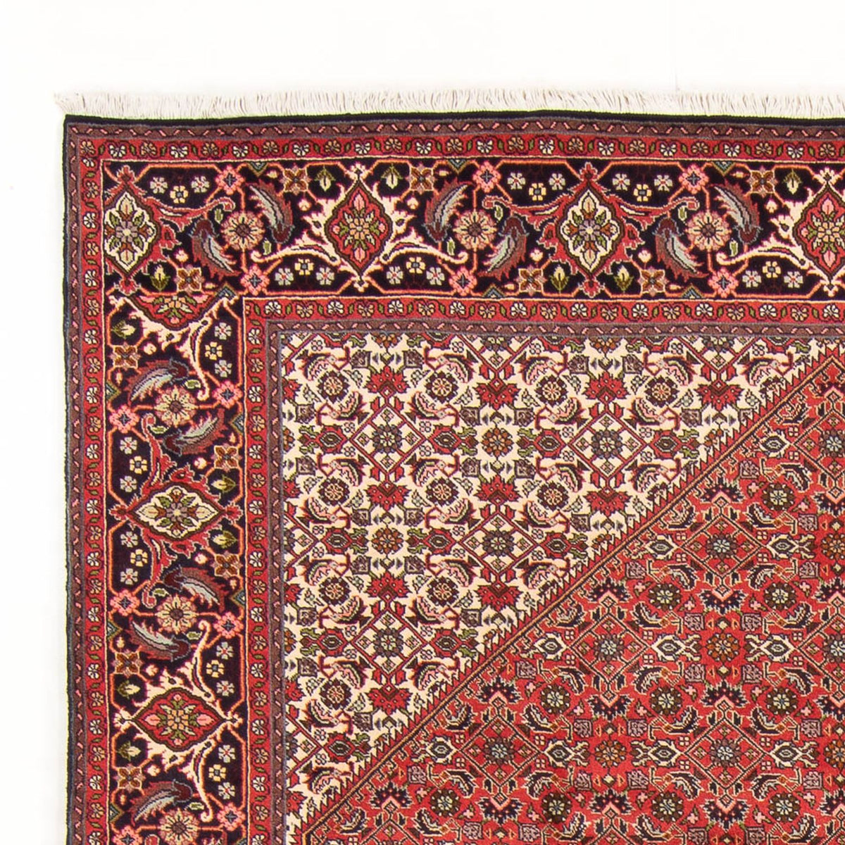 Tapis persan - Bidjar - 298 x 197 cm - rouge