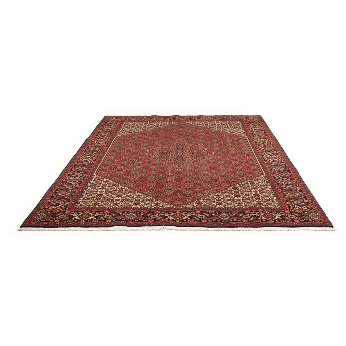 Tapis persan - Bidjar - 298 x 197 cm - rouge