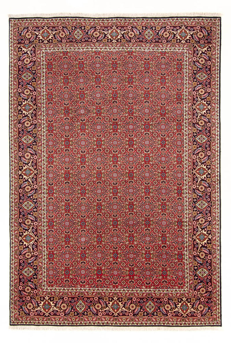 Tapis persan - Bidjar - 290 x 198 cm - rouge