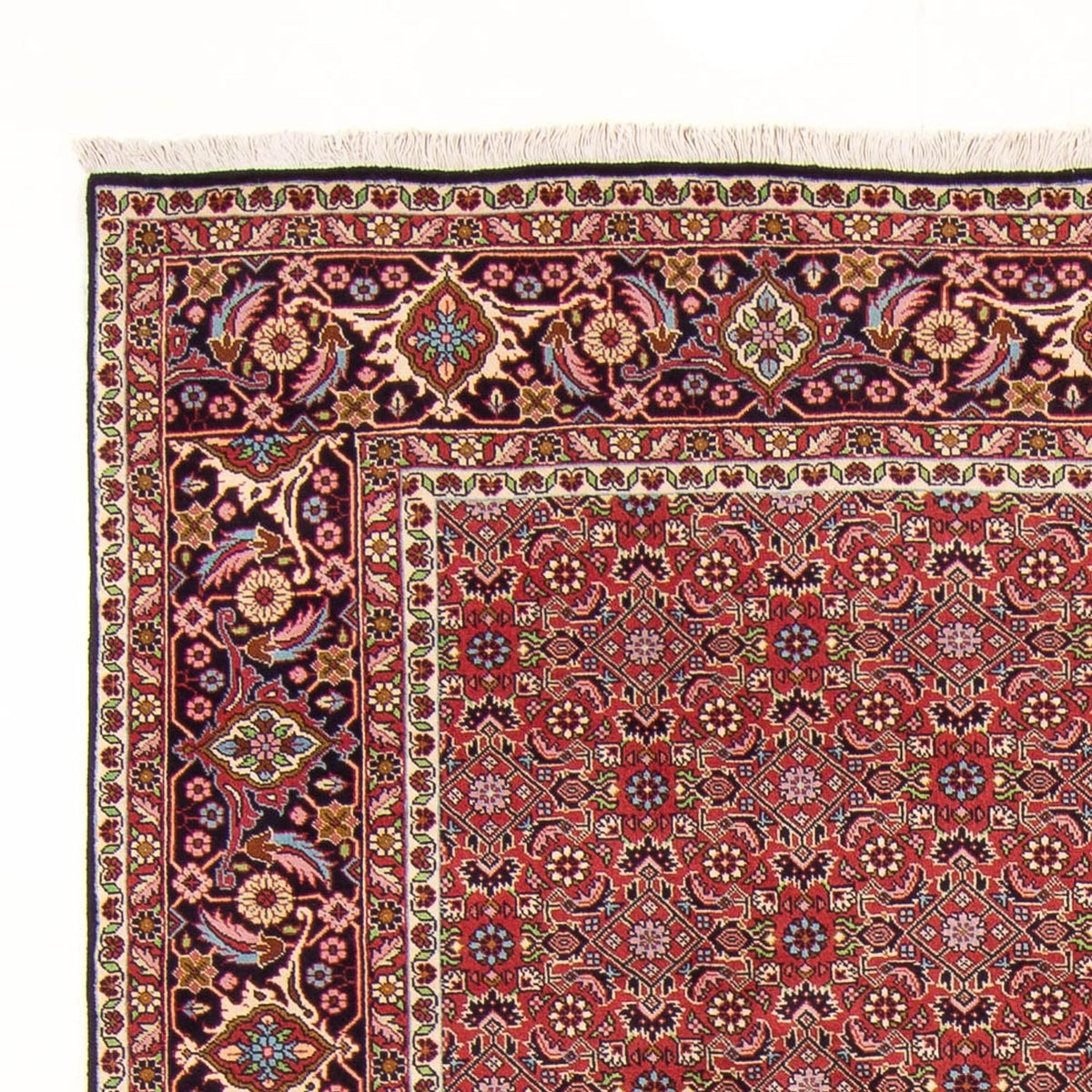 Tapis persan - Bidjar - 290 x 198 cm - rouge