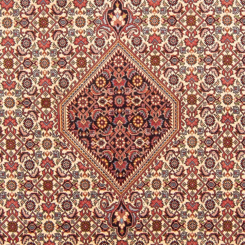 Tapis persan - Bidjar - 298 x 200 cm - rouge