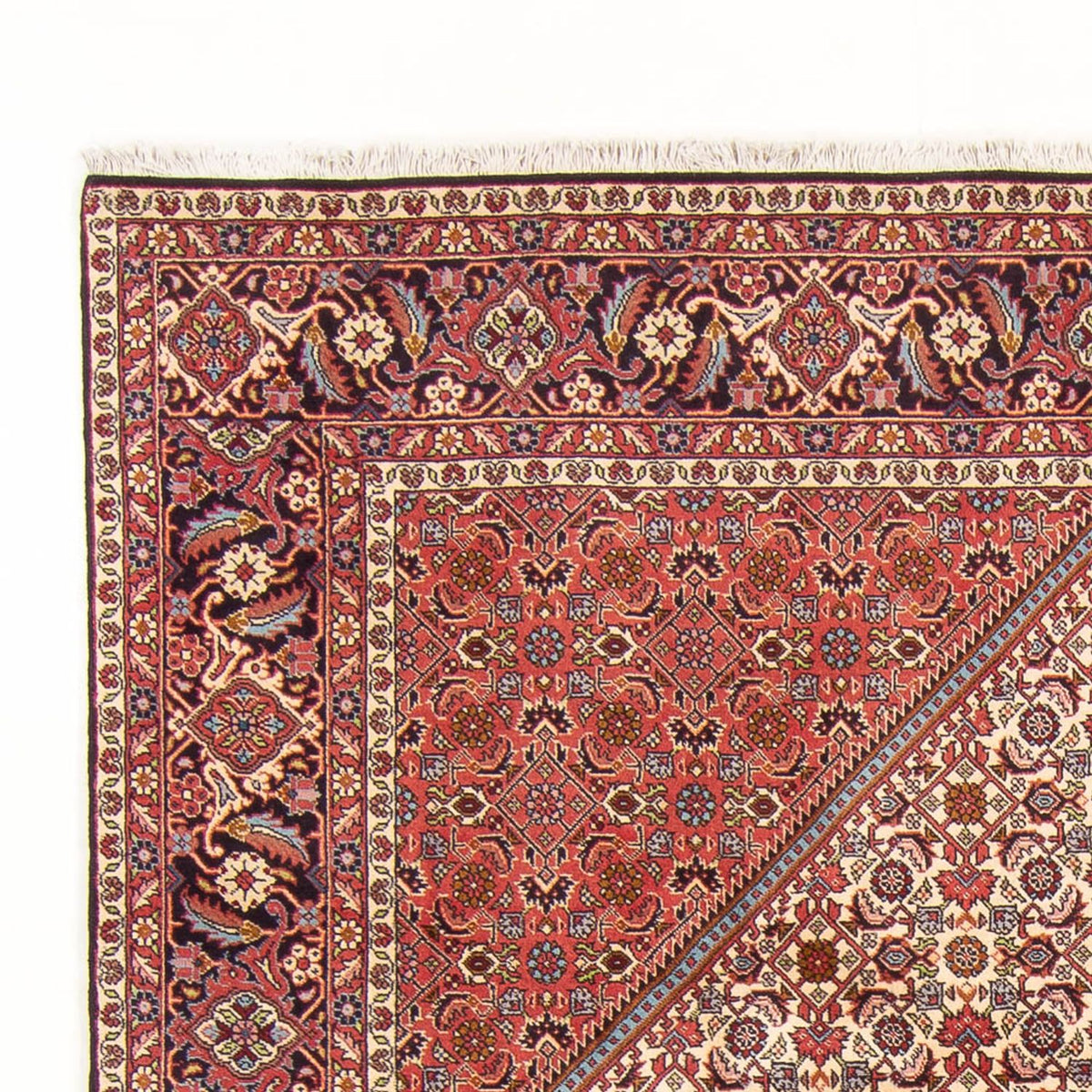 Tapis persan - Bidjar - 298 x 200 cm - rouge