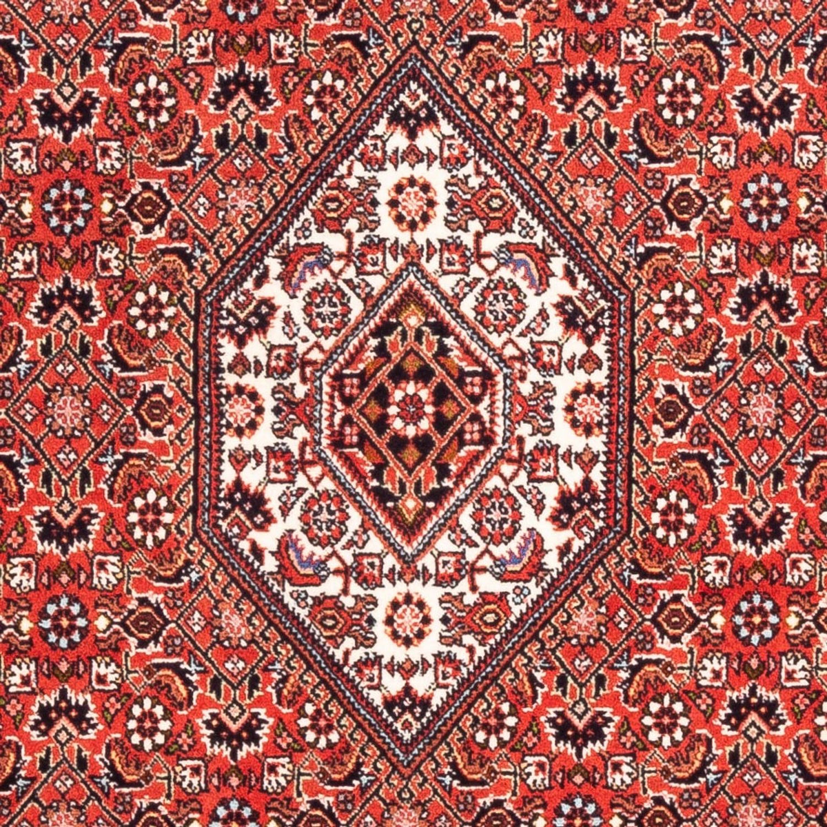Tapis persan - Bidjar - 176 x 108 cm - rouge