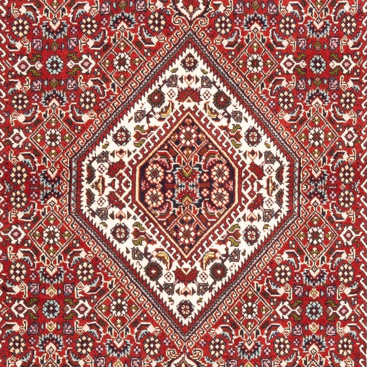Tapis persan - Bidjar - 174 x 107 cm - rouge