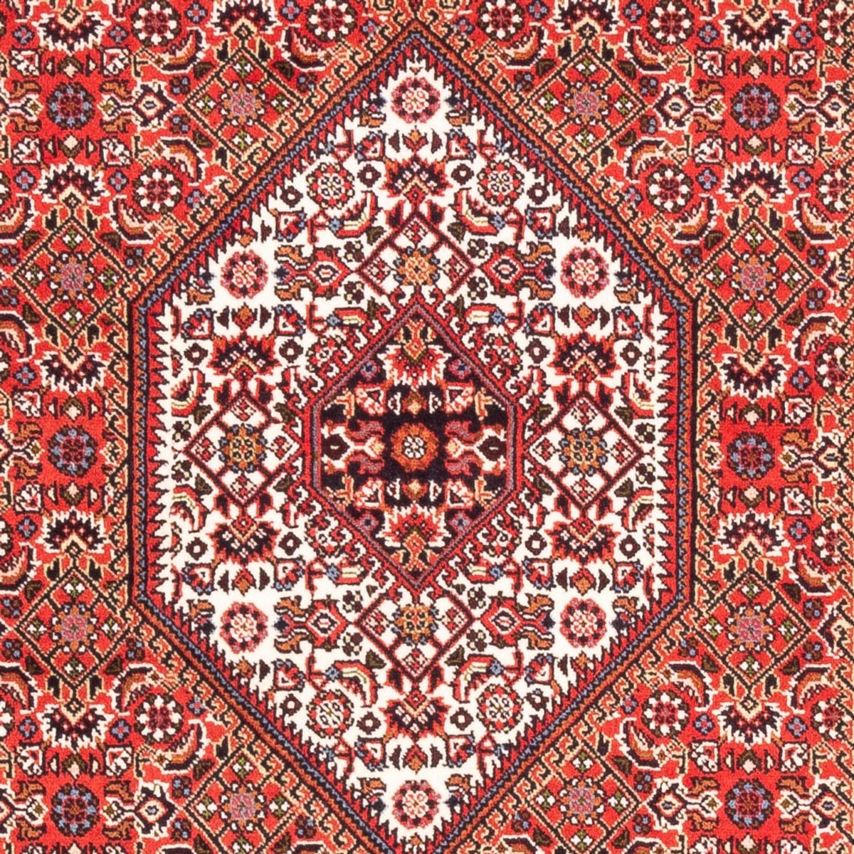 Tapis persan - Bidjar - 183 x 110 cm - rouge