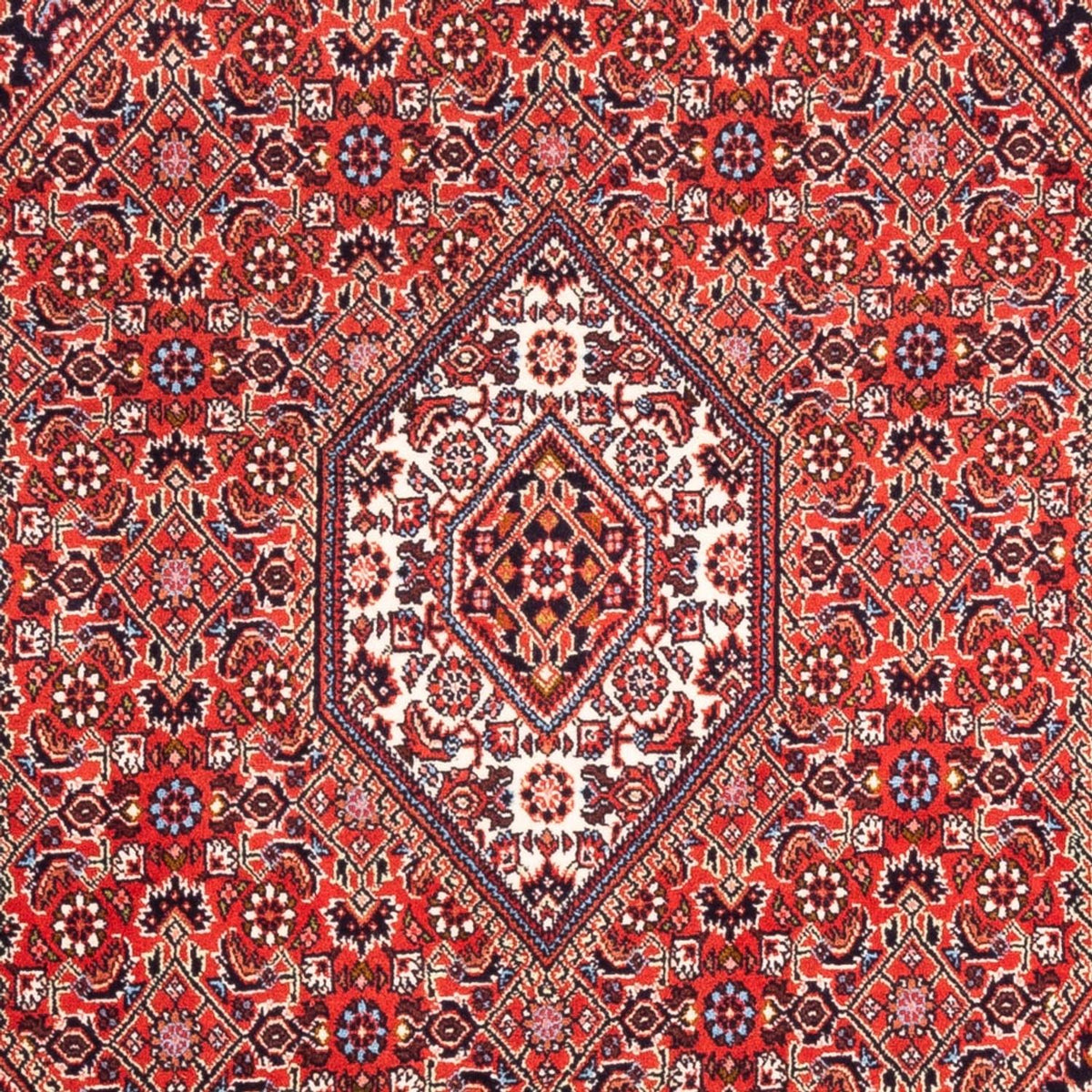 Tapis persan - Bidjar - 180 x 108 cm - rouge