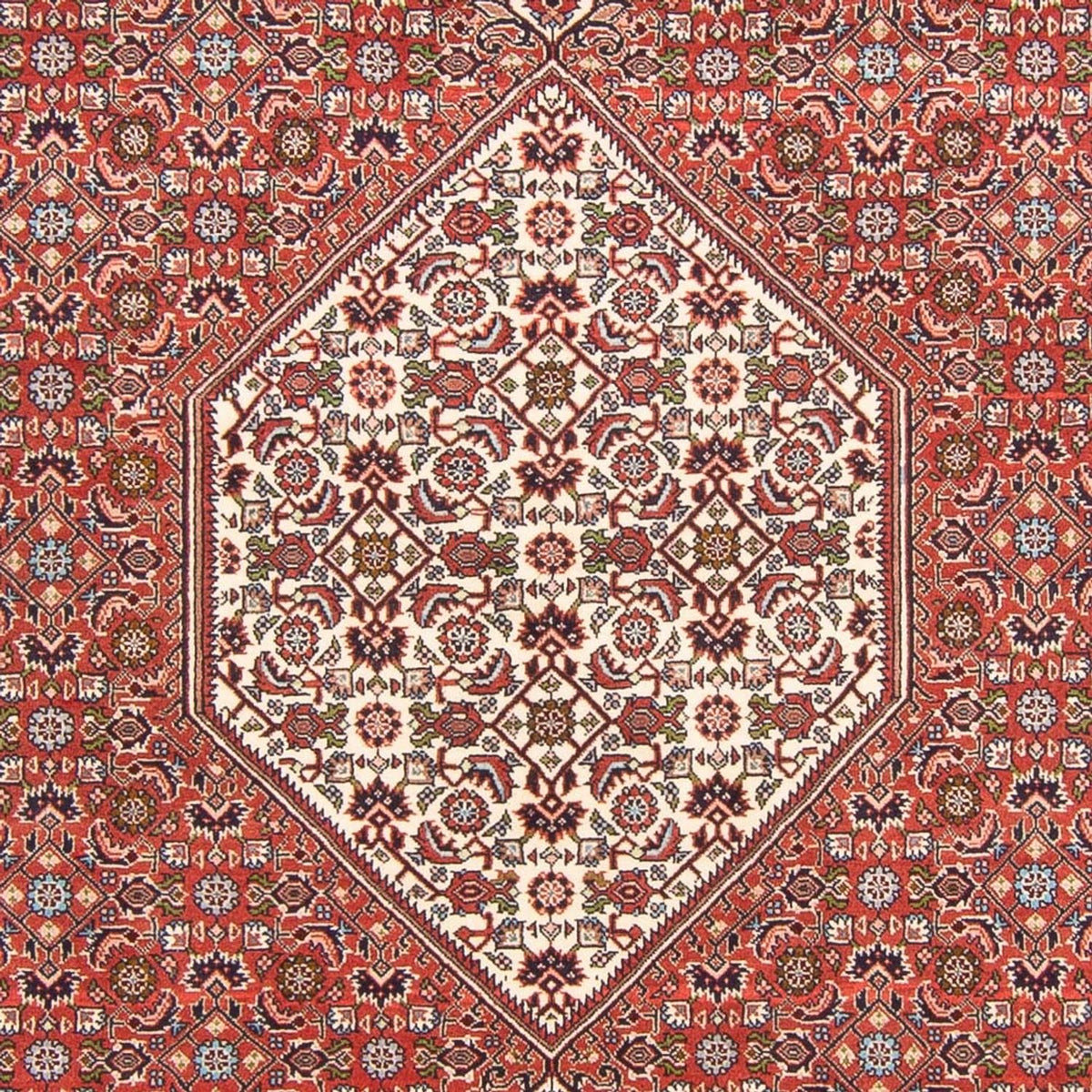 Tapis persan - Bidjar - 291 x 194 cm - rouge