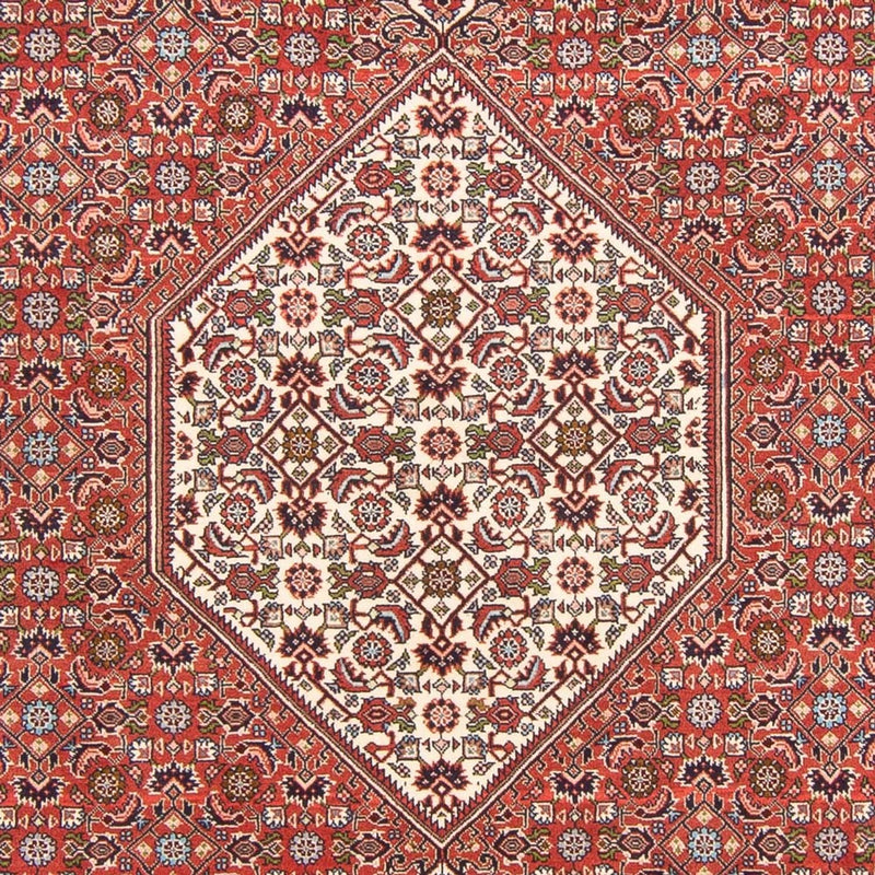 Tapis persan - Bidjar - 291 x 194 cm - rouge