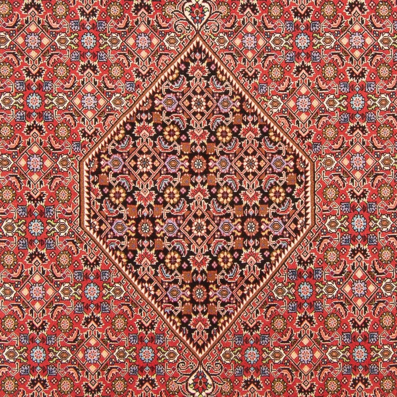 Tapis persan - Bidjar - 294 x 200 cm - rouge