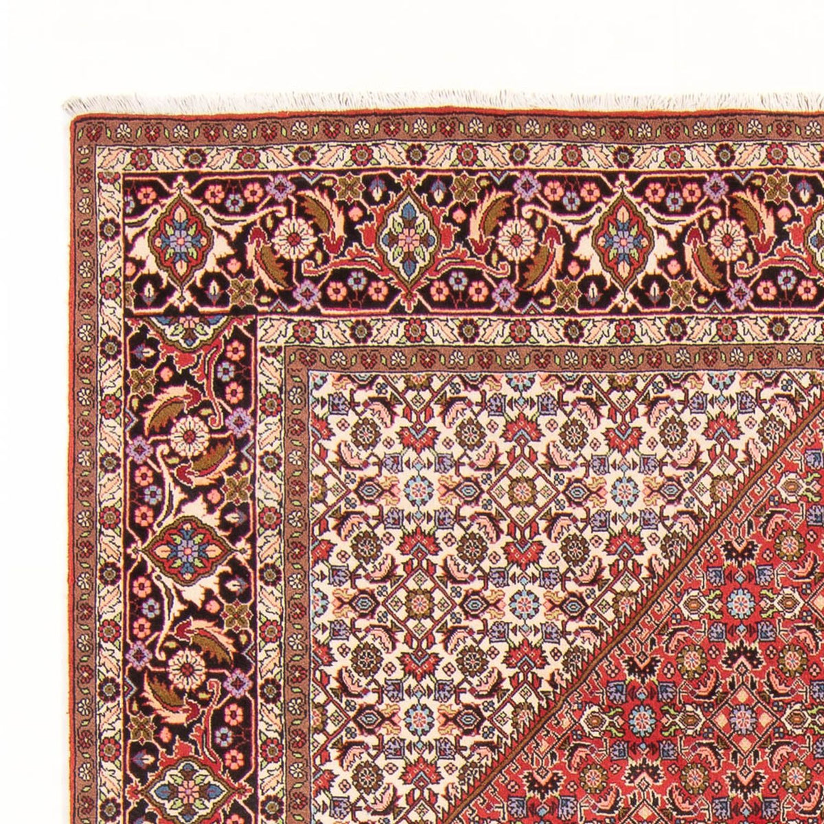 Tapis persan - Bidjar - 294 x 200 cm - rouge