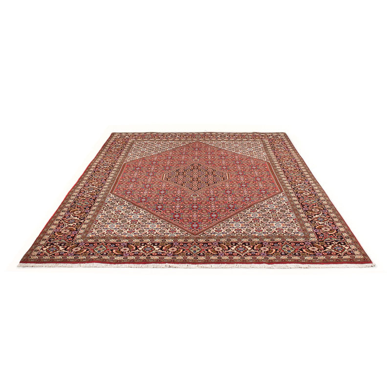 Tapis persan - Bidjar - 294 x 200 cm - rouge