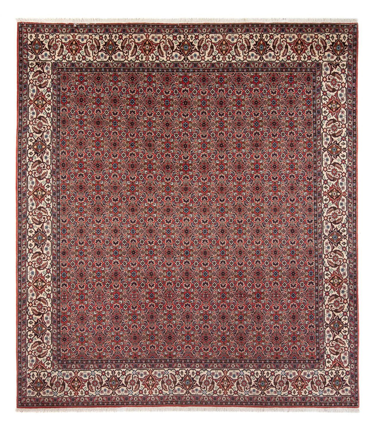 Tapis persan - Bidjar - 296 x 248 cm - rouge foncé
