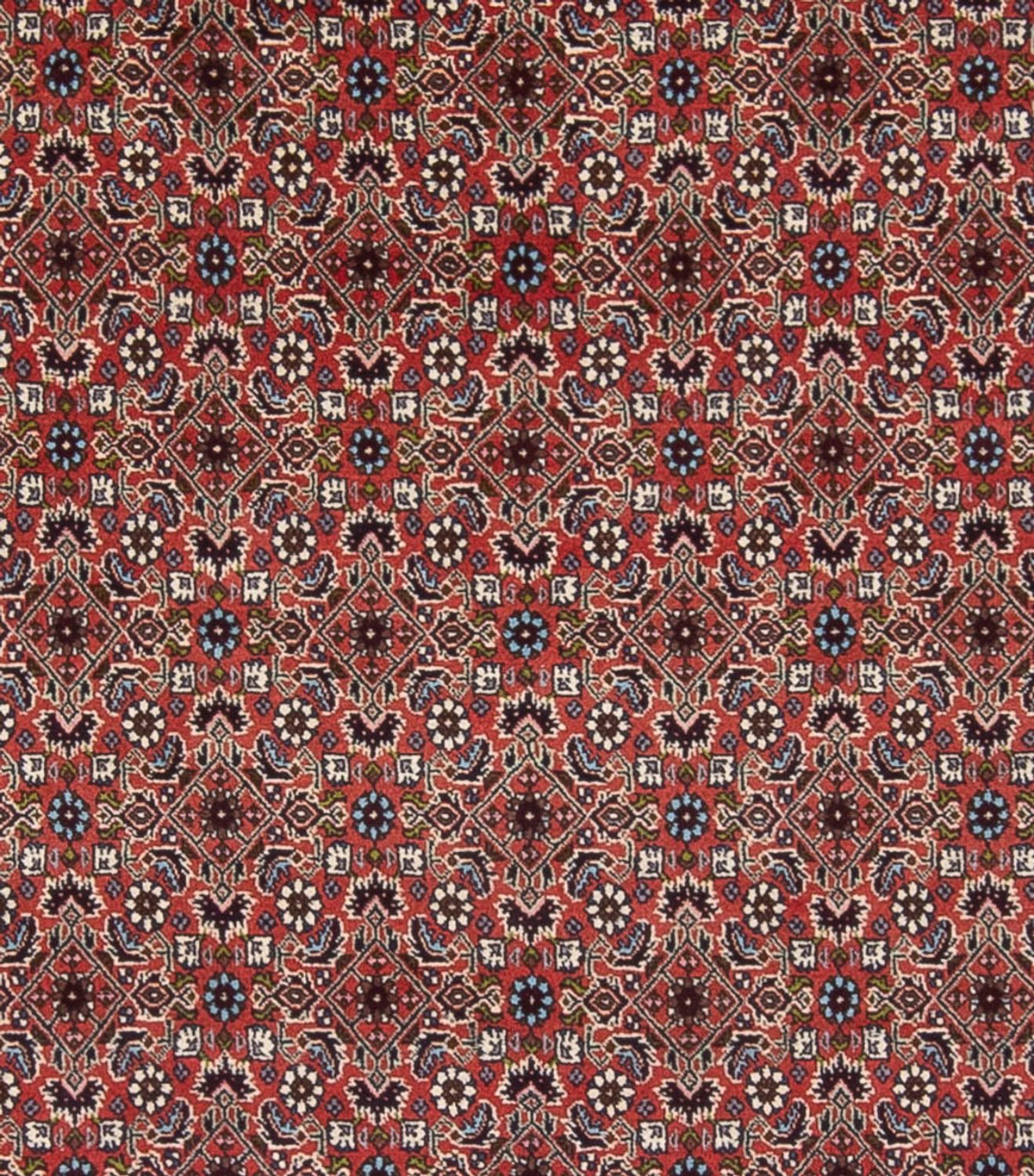 Tapis persan - Bidjar - 296 x 248 cm - rouge foncé