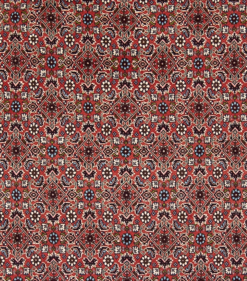 Tapis persan - Bidjar - 296 x 248 cm - rouge foncé