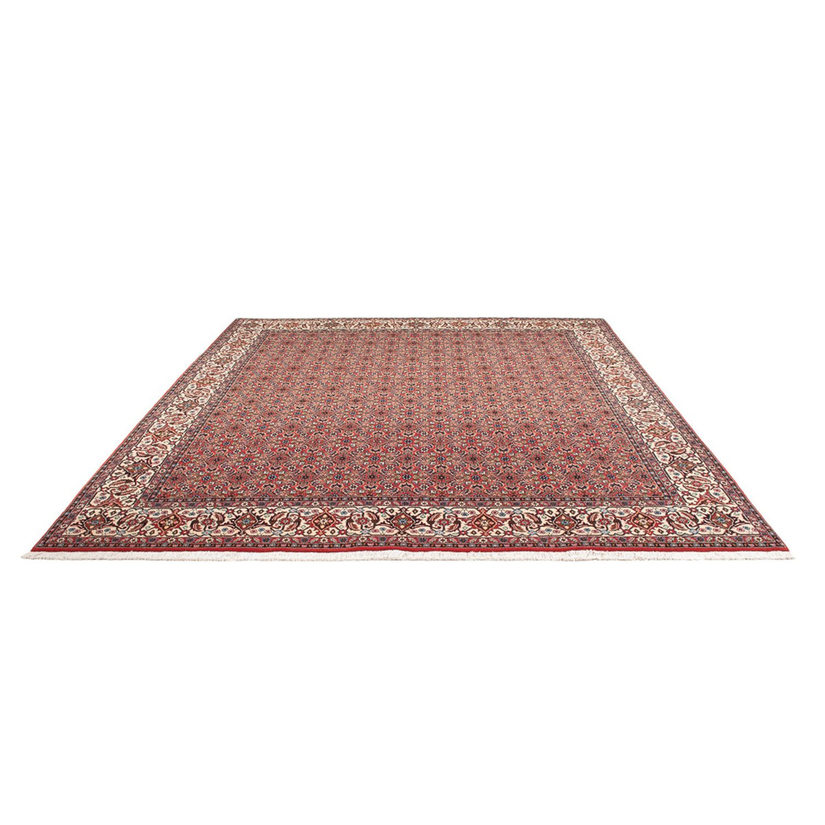 Tapis persan - Bidjar - 296 x 248 cm - rouge foncé