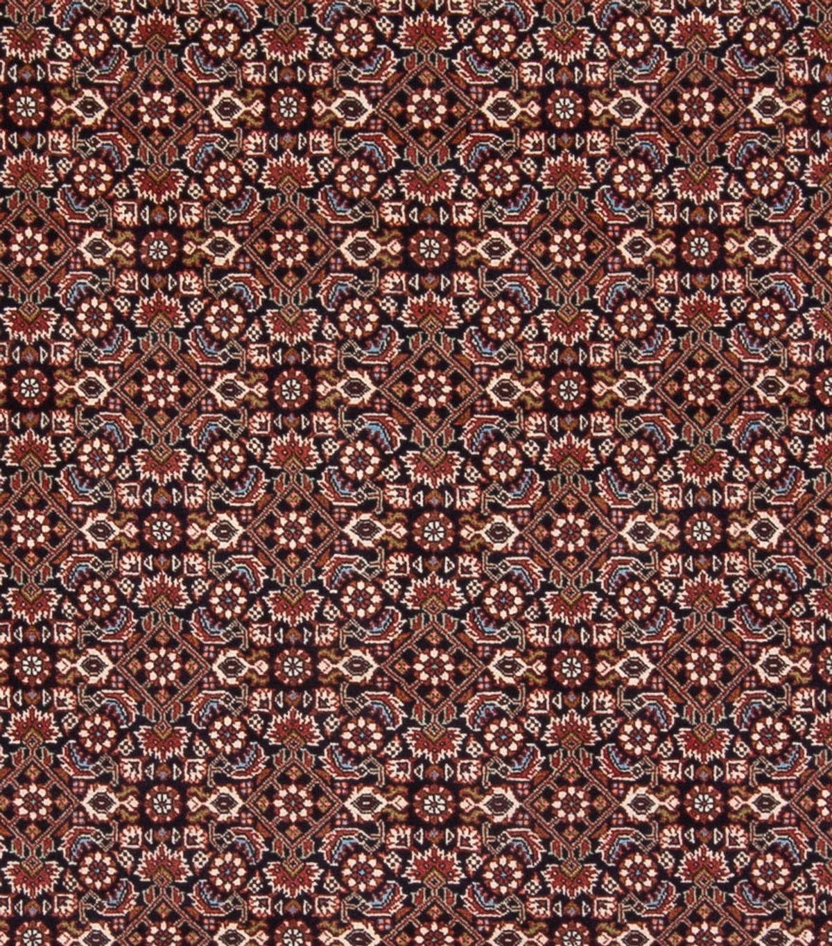 Tapis persan - Bidjar - 300 x 248 cm - bleu foncé