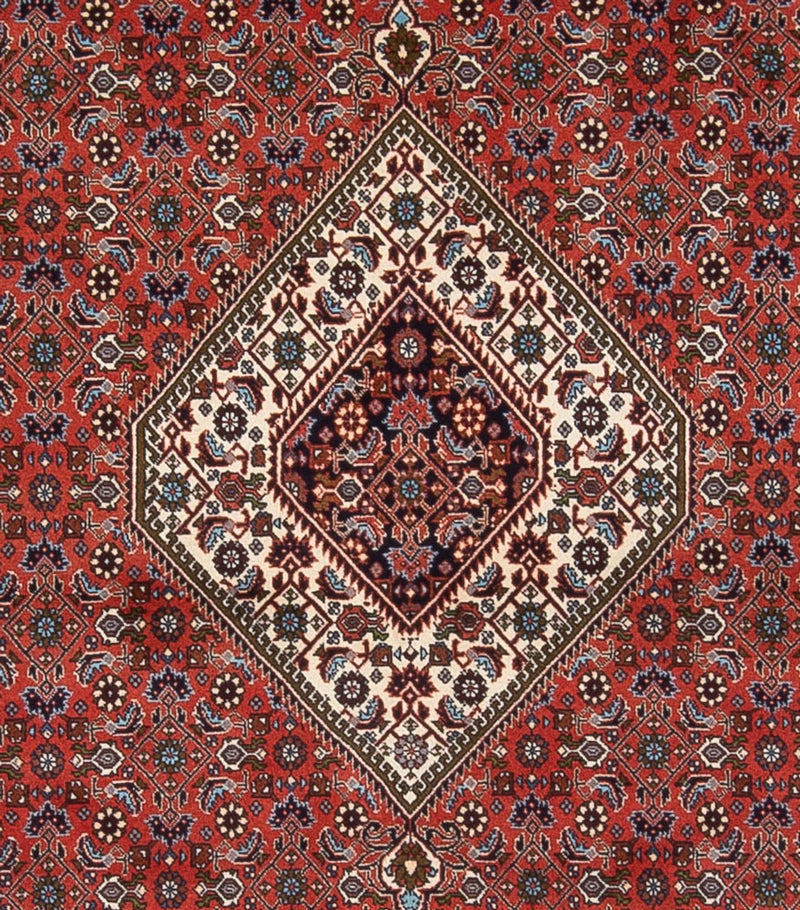 Tapis persan - Bidjar - 290 x 243 cm - rouille