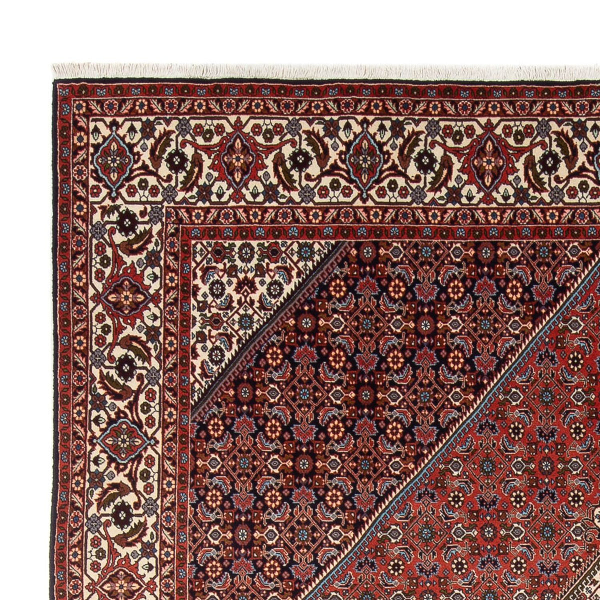 Tapis persan - Bidjar - 290 x 243 cm - rouille