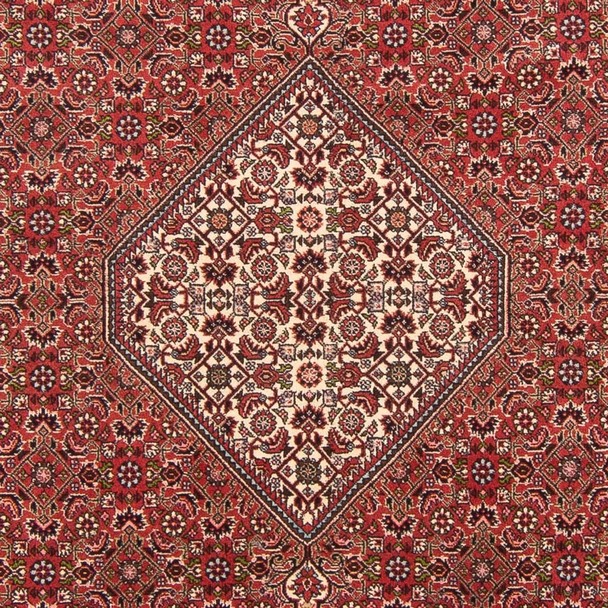 Tapis persan - Bidjar - 290 x 202 cm - rouge