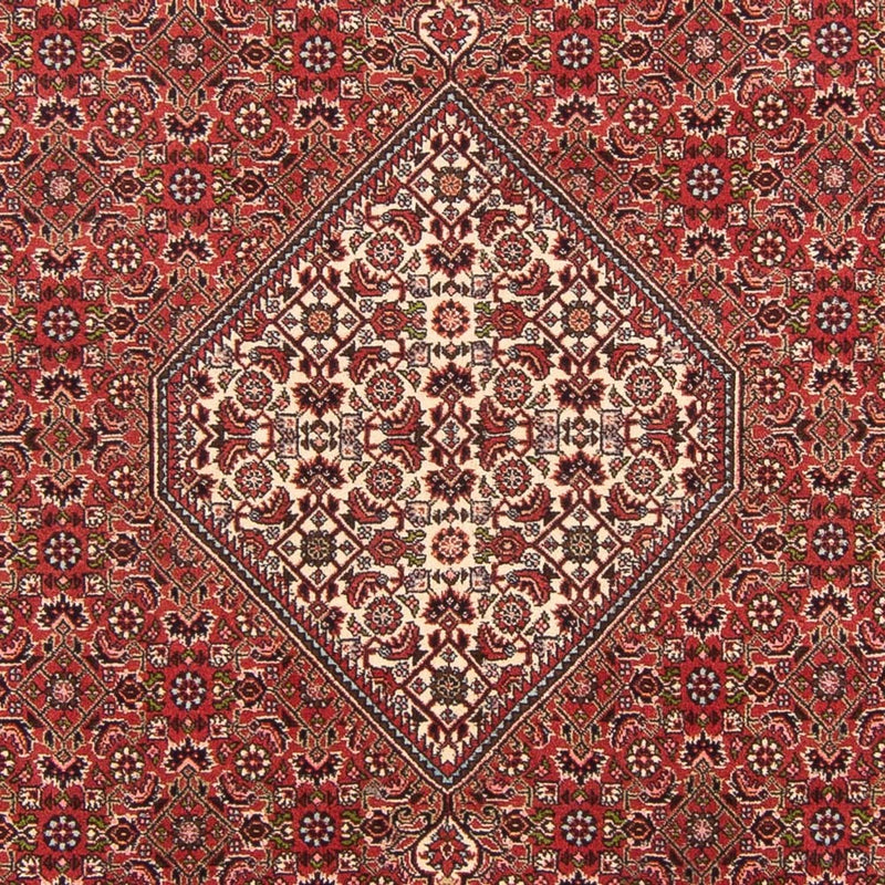 Tapis persan - Bidjar - 290 x 202 cm - rouge