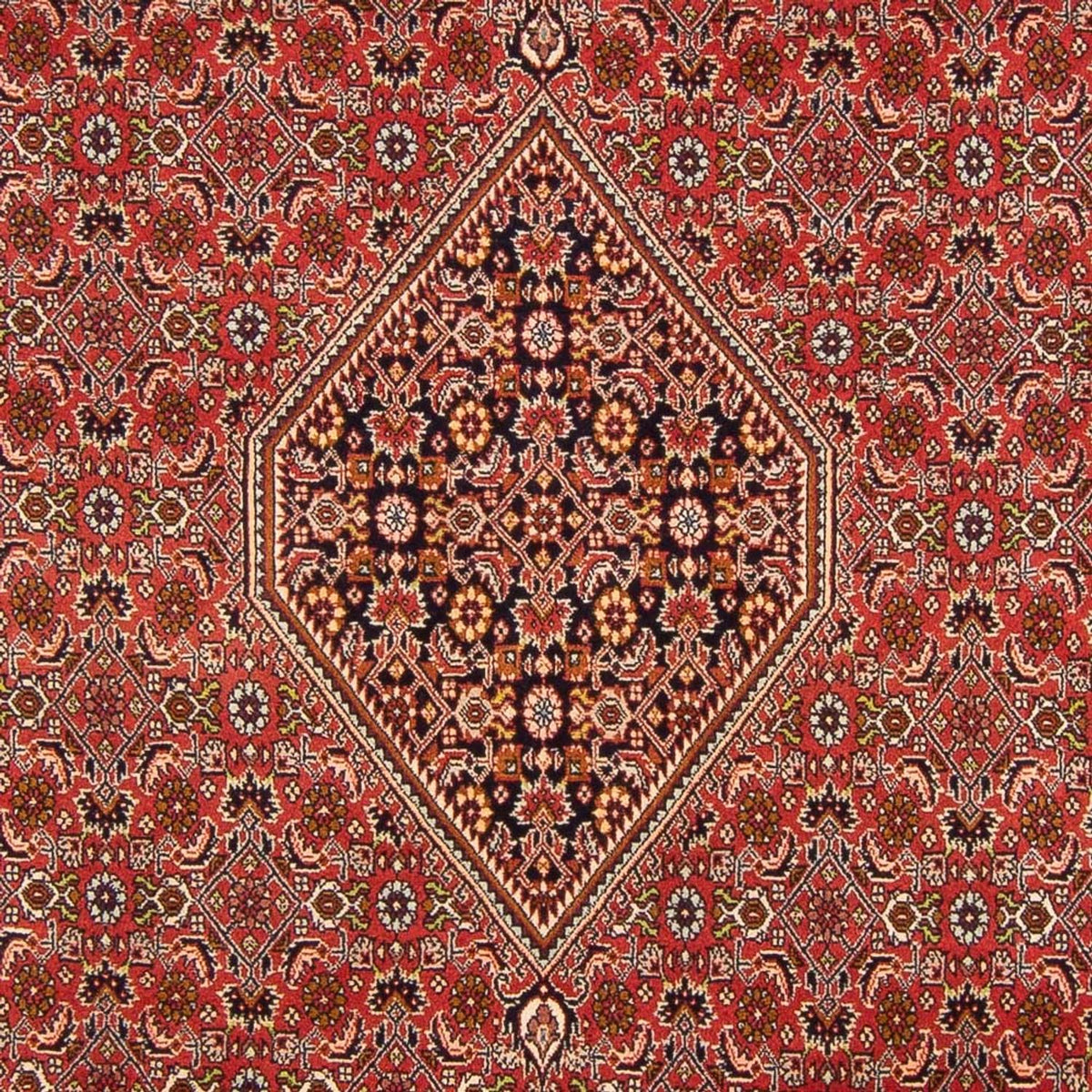 Tapis persan - Bidjar - 290 x 200 cm - rouge