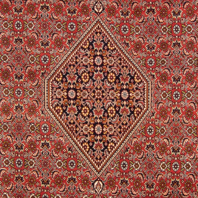 Tapis persan - Bidjar - 290 x 200 cm - rouge