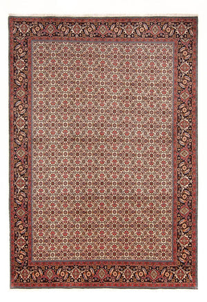 Tapis persan - Bidjar - 290 x 200 cm - crème