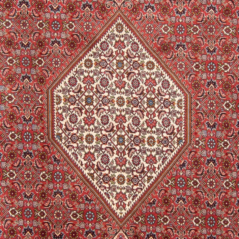 Tapis persan - Bidjar - 310 x 203 cm - rouge