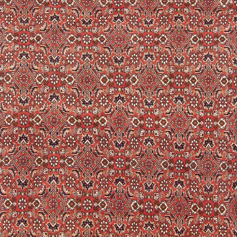 Tapis persan - Bidjar - 305 x 200 cm - rouge