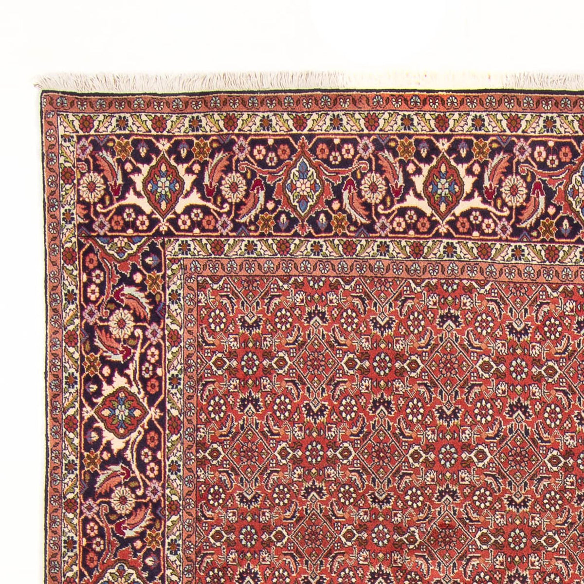 Tapis persan - Bidjar - 305 x 200 cm - rouge