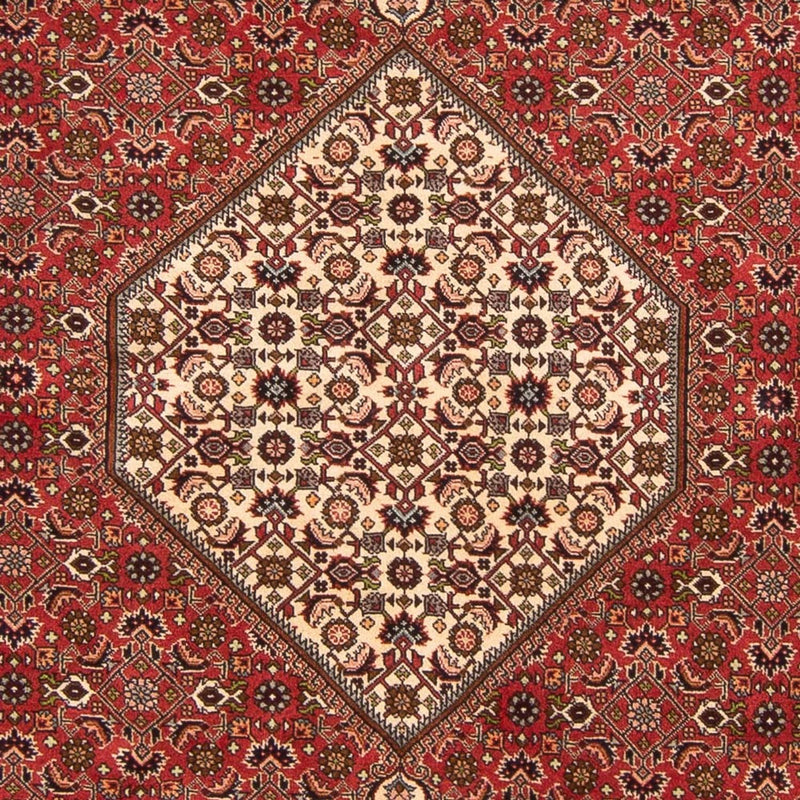 Tapis persan - Bidjar - 260 x 200 cm - rouge