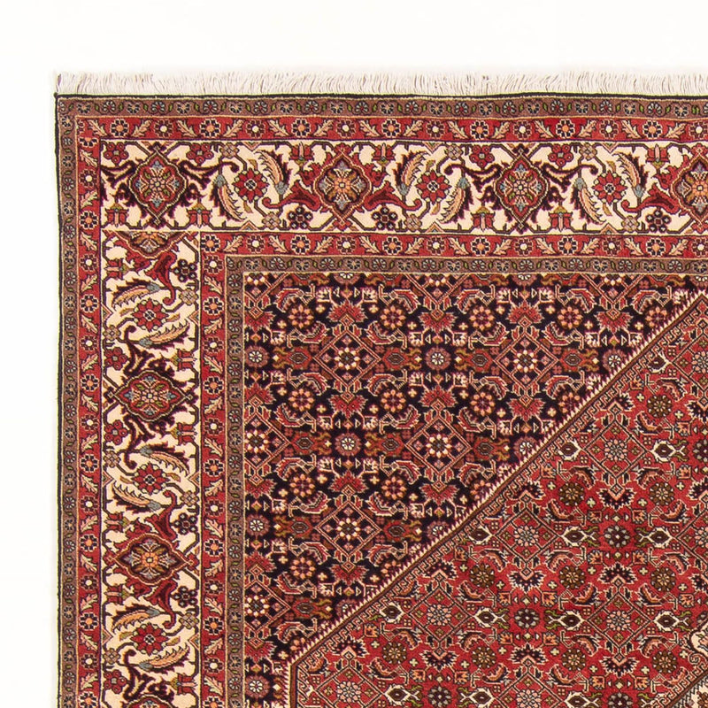 Tapis persan - Bidjar - 260 x 200 cm - rouge