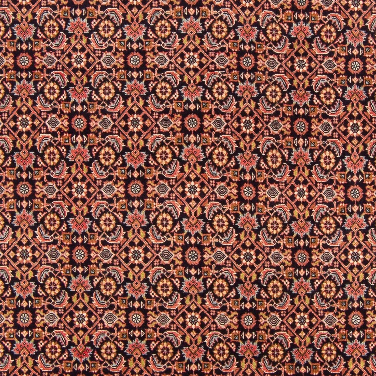 Tapis persan - Bidjar - 302 x 200 cm - rouge