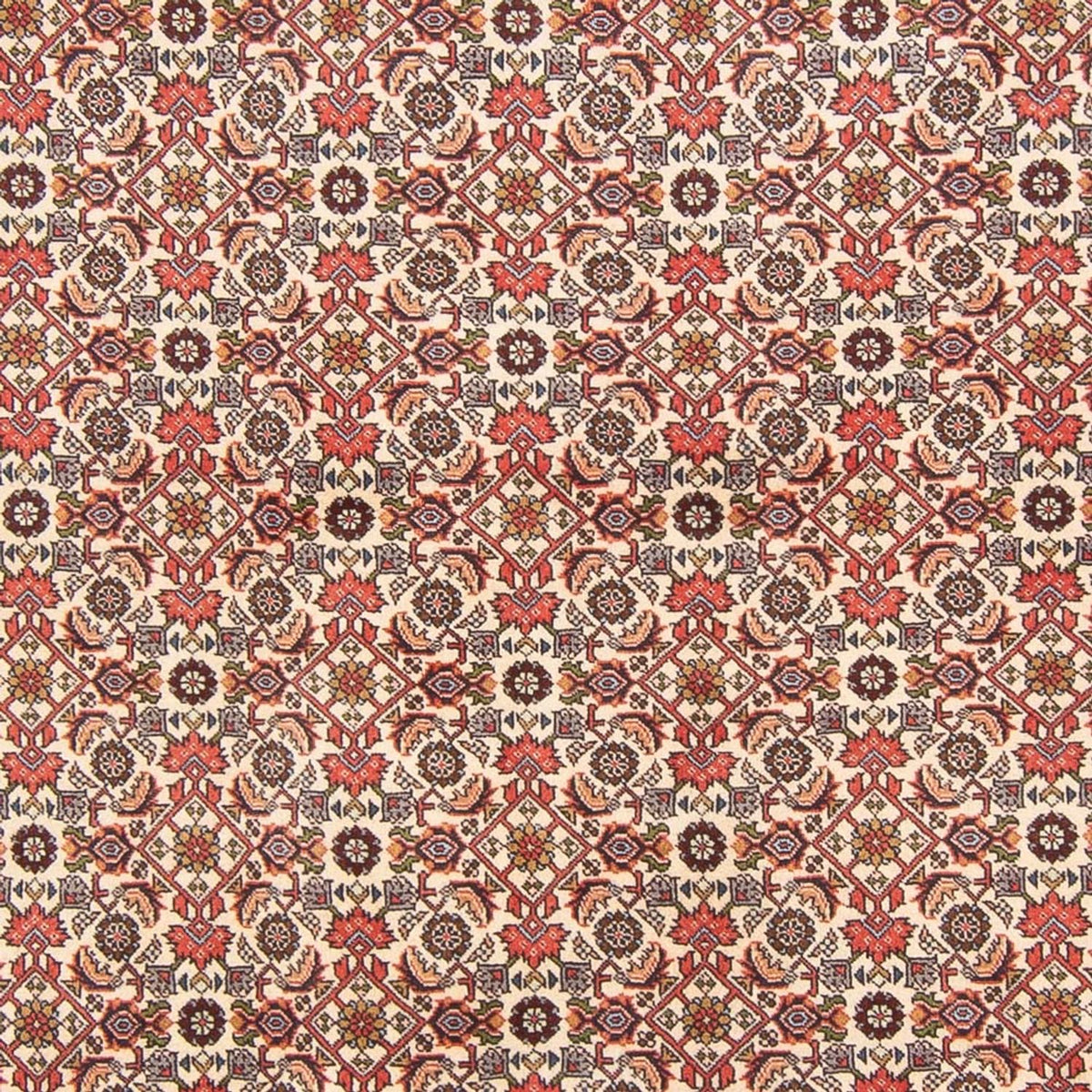 Tapis persan - Bidjar - 294 x 200 cm - crème