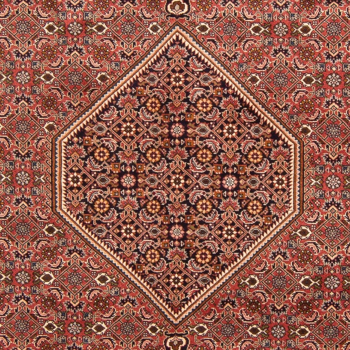 Tapis persan - Bidjar - 297 x 196 cm - rouge