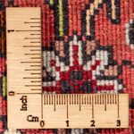 Tapis persan - Bidjar - 288 x 200 cm - rouge