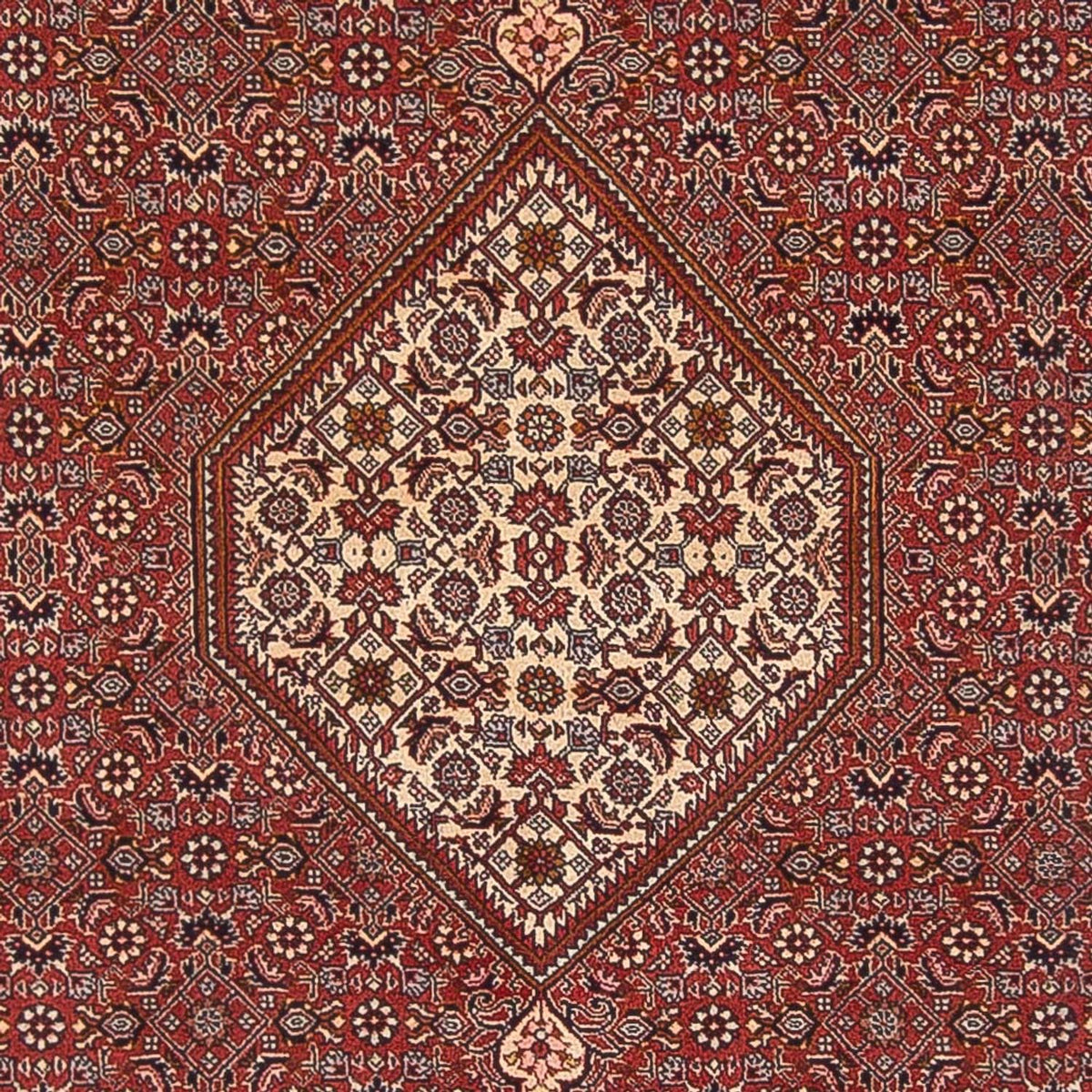 Tapis persan - Bidjar - 291 x 197 cm - rouge