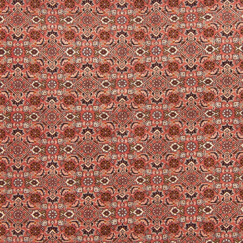 Tapis persan - Bidjar - 288 x 202 cm - rouge