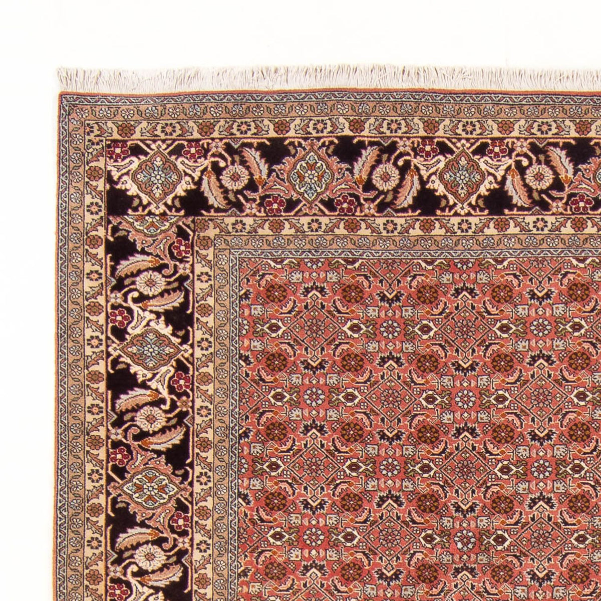 Tapis persan - Bidjar - 288 x 202 cm - rouge
